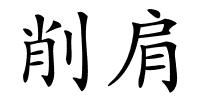 削肩的解释