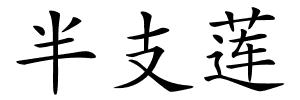 半支莲的解释