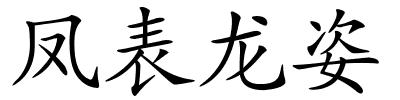 凤表龙姿的解释