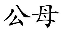 公母的解释