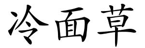 冷面草的解释