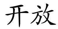 开放的解释