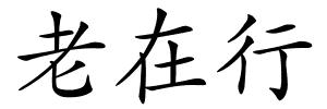 老在行的解释