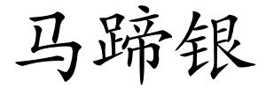 马蹄银的解释