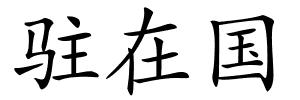 驻在国的解释