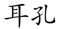 耳孔的解释