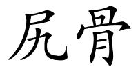 尻骨的解释