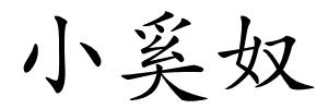 小奚奴的解释