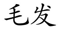 毛发的解释