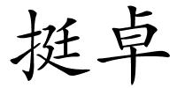 挺卓的解释