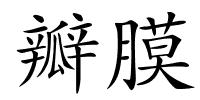 瓣膜的解释