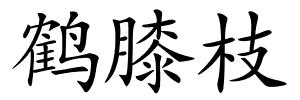 鹤膝枝的解释