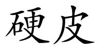 硬皮的解释