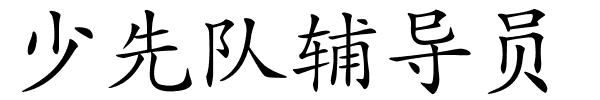 少先队辅导员的解释