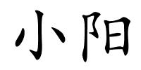 小阳的解释