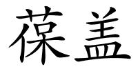葆盖的解释