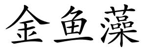 金鱼藻的解释