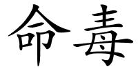命毒的解释