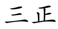 三正的解释
