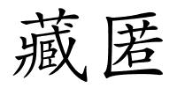 藏匿的解释