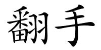翻手的解释