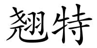 翘特的解释
