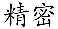 精密的解释