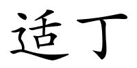 适丁的解释