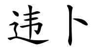 违卜的解释