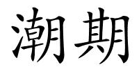 潮期的解释