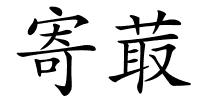 寄菆的解释