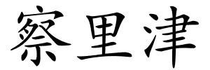 察里津的解释