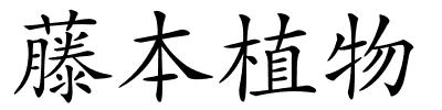 藤本植物的解释