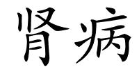 肾病的解释