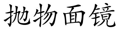 抛物面镜的解释