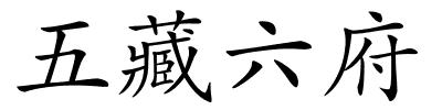 五藏六府的解释