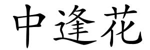 中逢花的解释