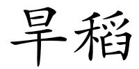 旱稻的解释