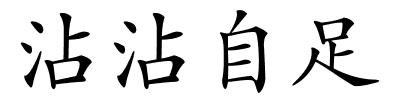 沾沾自足的解释