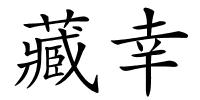 藏幸的解释