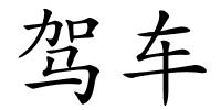 驾车的解释
