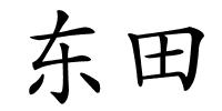 东田的解释