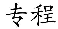 专程的解释