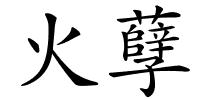 火孽的解释