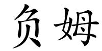 负姆的解释
