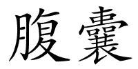 腹囊的解释