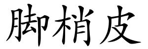 脚梢皮的解释