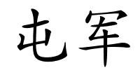 屯军的解释
