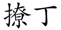 撩丁的解释