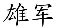 雄军的解释
